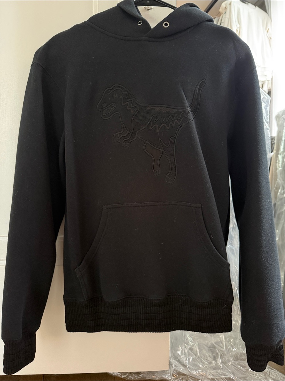 COACH Rexy Blackout Hoodie
